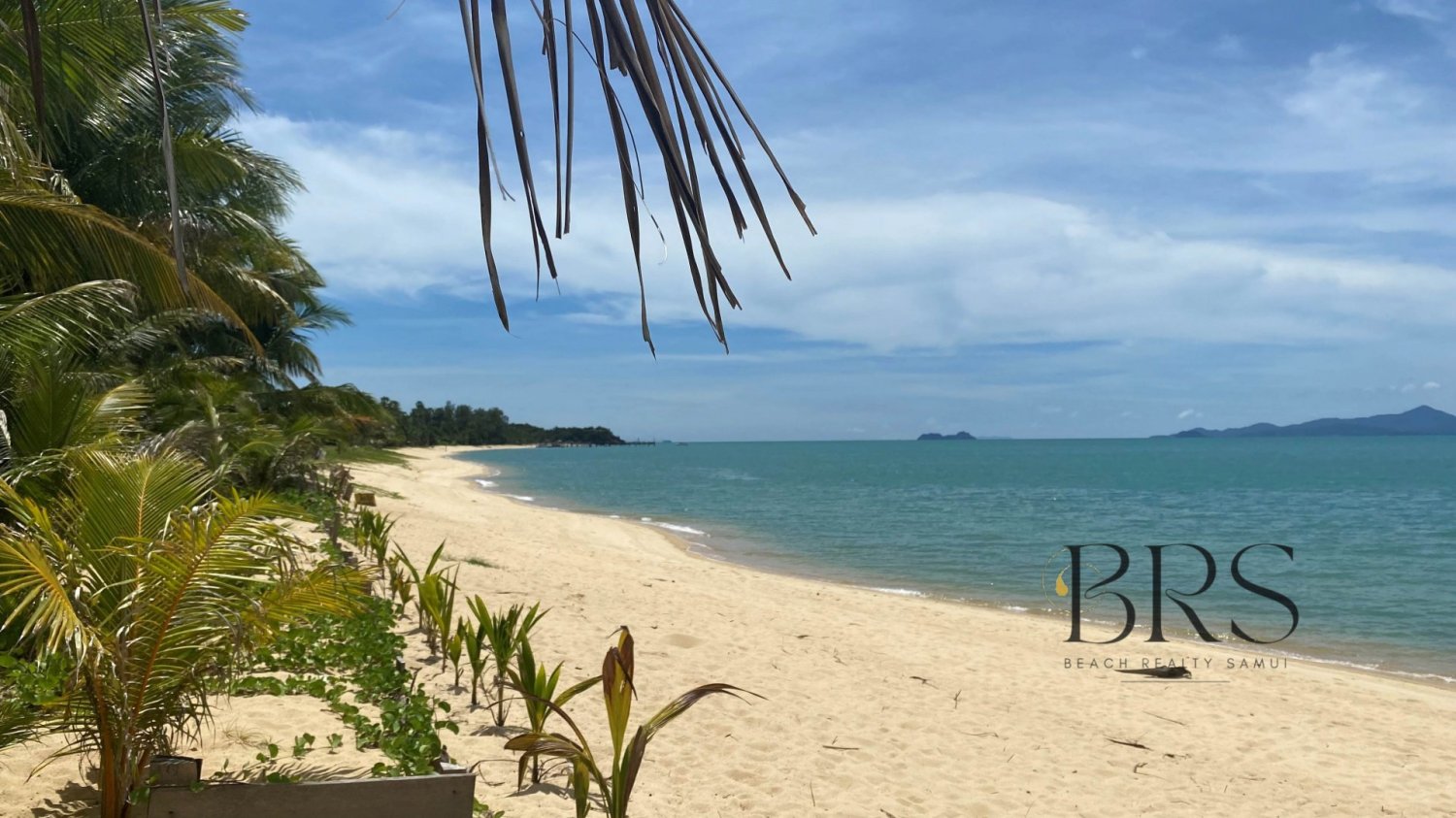  Commercial property in Ko Samui, Thailand No. 5693