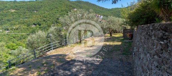 3 bedrooms Villa in Avegno, Italy No. 287988 23