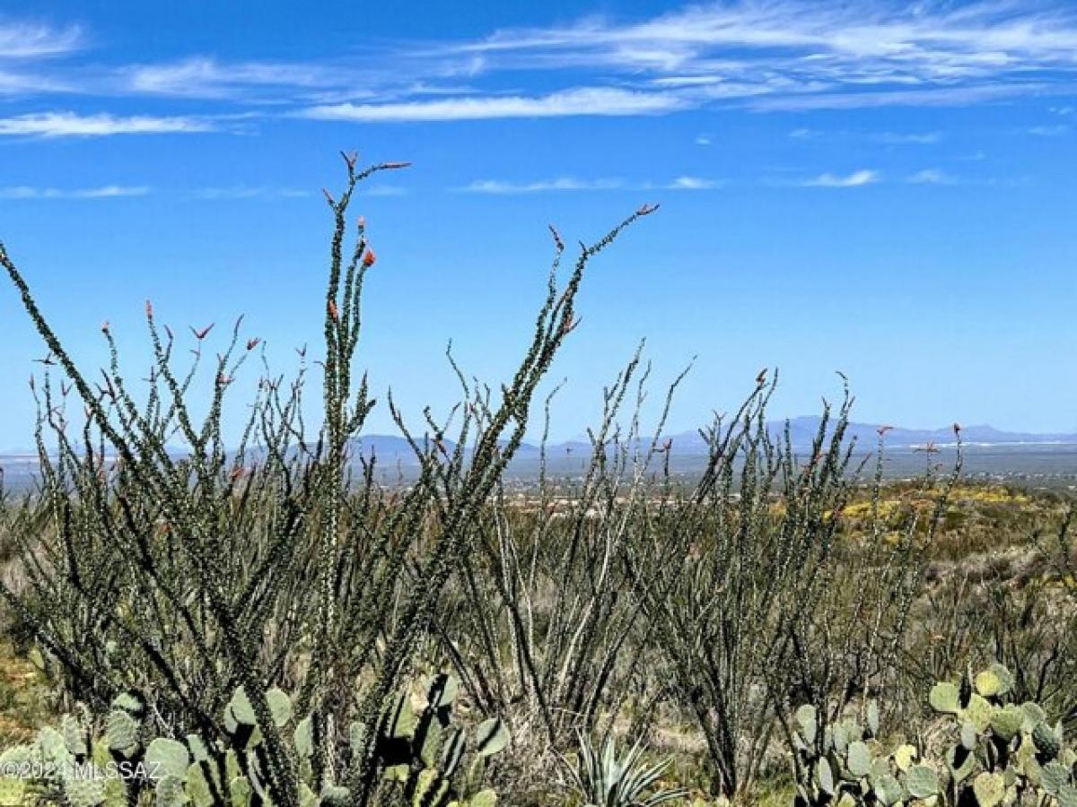  Land in Vail, USA No. 477574