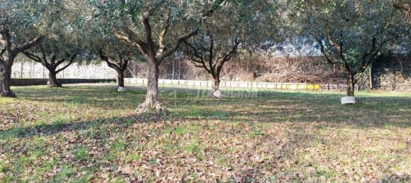 4 rooms Apartment in Cazzago San Martino, Italy No. 156033 48