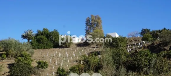 3 bedrooms House in Vinuela, Spain No. 128501 44