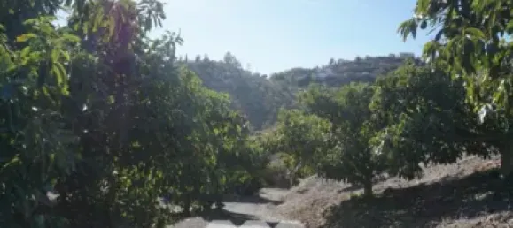 3 bedrooms House in Vinuela, Spain No. 128501 9