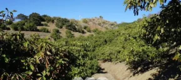 3 bedrooms House in Vinuela, Spain No. 128501 3