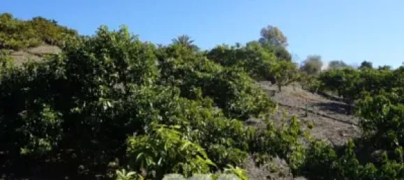 3 bedrooms House in Vinuela, Spain No. 128501 6