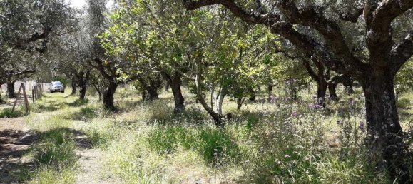  Hotel in Zakynthos, Greece No. 790 8