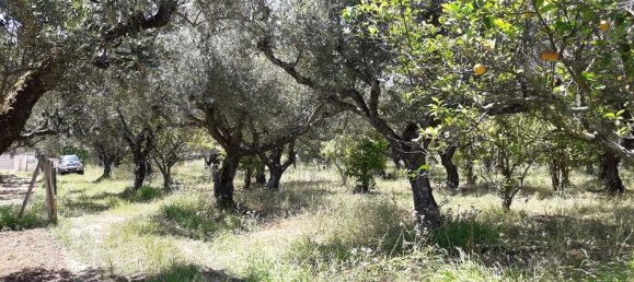  Hotel in Zakynthos, Greece No. 790 13