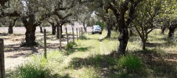  Hotel in Zakynthos, Greece No. 790 14