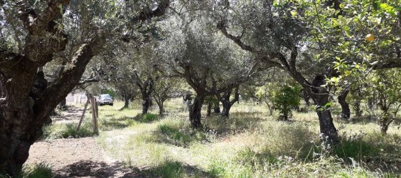  Hotel in Zakynthos, Greece No. 790 5