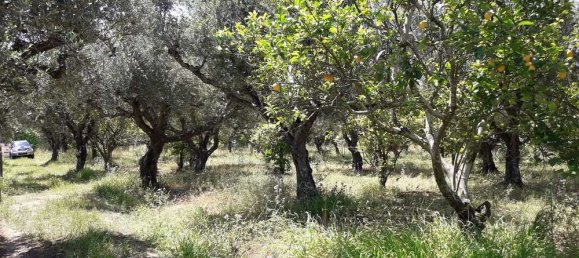  Hotel in Zakynthos, Greece No. 790 4