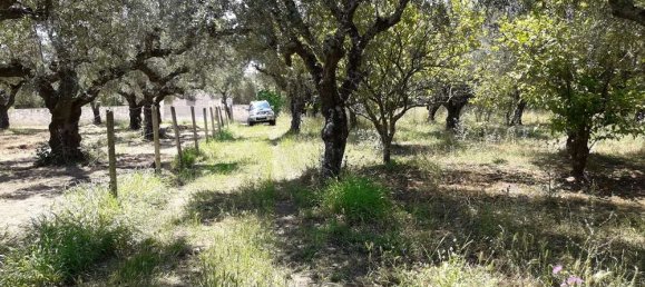  Hotel in Zakynthos, Greece No. 790 6