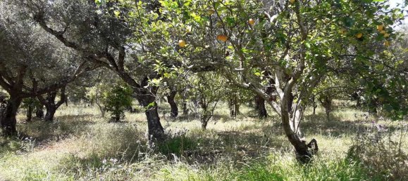  Hotel in Zakynthos, Greece No. 790 10