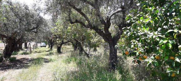  Hotel in Zakynthos, Greece No. 790 9