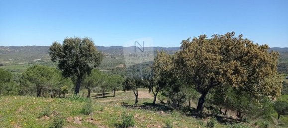  Castillos de 5 dormitorios en Sao Bartolomeu de Messines, Portugal No. 9690 4