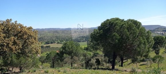  Castillos de 5 dormitorios en Sao Bartolomeu de Messines, Portugal No. 9690 5