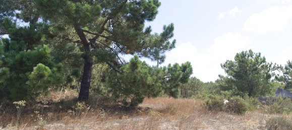 3 Schlafzimmer Villa in Alcacer do Sal, Portugal, Nr. 140130 7