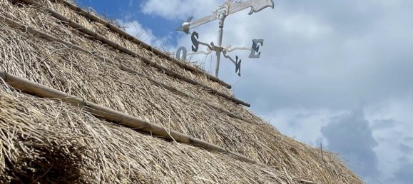 3 Schlafzimmer Villa in Alcacer do Sal, Portugal, Nr. 140130 16