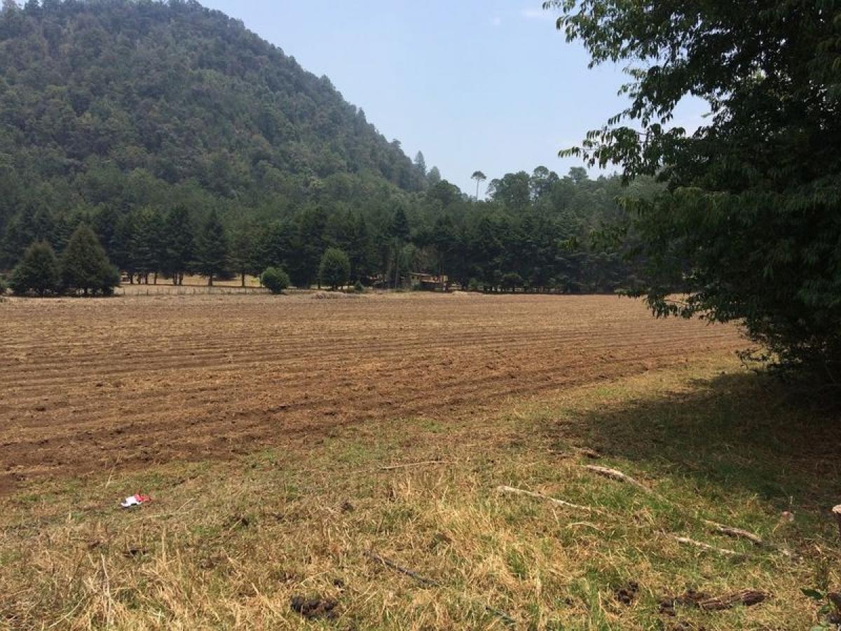 Terrain à Heroica Matamoros, Mexico No. 202705