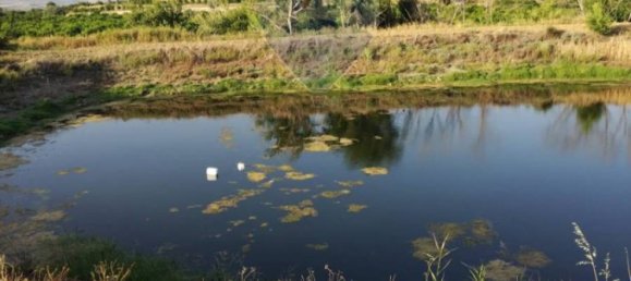 35000m² Land in Mineo, Italy No. 298503 8