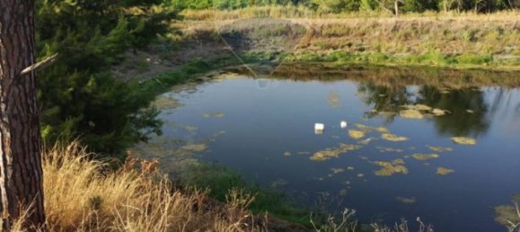 35000m² Land in Mineo, Italy No. 298503 7