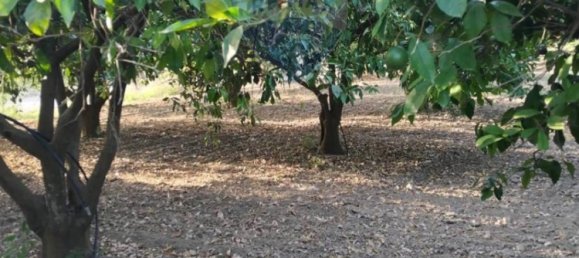 35000m² Land in Mineo, Italy No. 298503 30