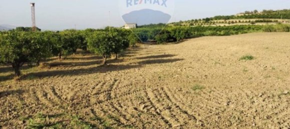 35000m² Land in Mineo, Italy No. 298503 23