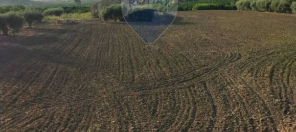 35000m² Land in Mineo, Italy No. 298503 13
