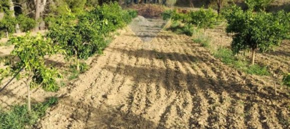 35000m² Land in Mineo, Italy No. 298503 14