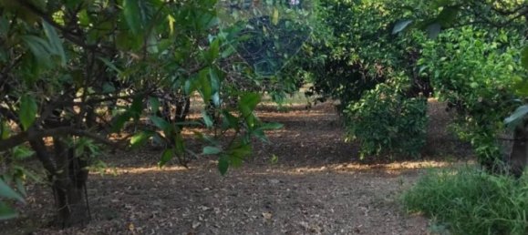 35000m² Land in Mineo, Italy No. 298503 31