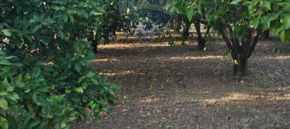 35000m² Land in Mineo, Italy No. 298503 33