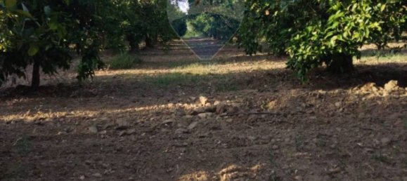 35000m² Land in Mineo, Italy No. 298503 26