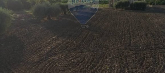 35000m² Land in Mineo, Italy No. 298503 5