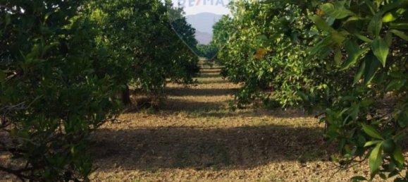 35000m² Land in Mineo, Italy No. 298503 28