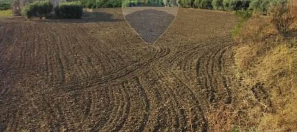 35000m² Land in Mineo, Italy No. 298503 9