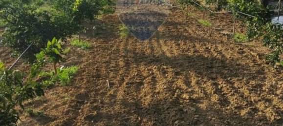 35000m² Land in Mineo, Italy No. 298503 4