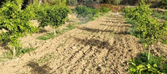 35000m² Land in Mineo, Italy No. 298503 11