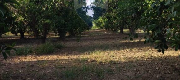 35000m² Land in Mineo, Italy No. 298503 29