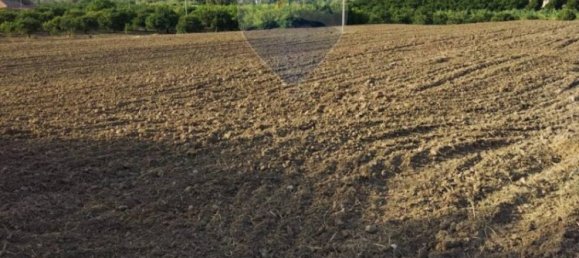 35000m² Land in Mineo, Italy No. 298503 19