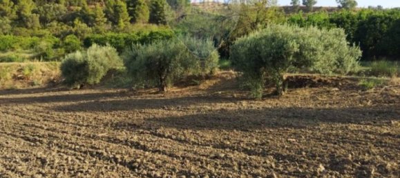 35000m² Land in Mineo, Italy No. 298503 17