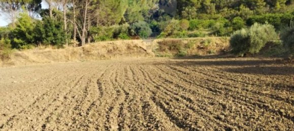 35000m² Land in Mineo, Italy No. 298503 16