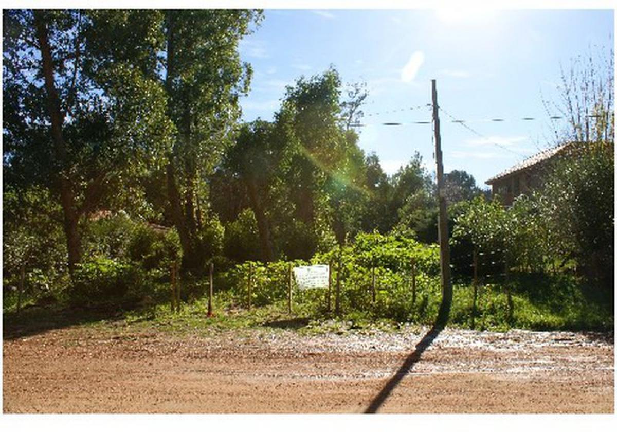 Terreno en Maldonado, Uruguay No. 14909