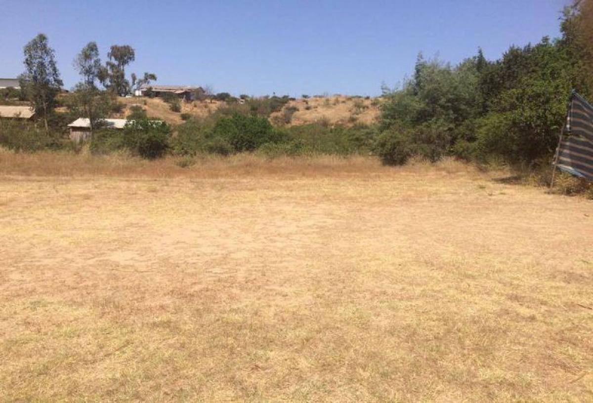 Propiedad comercial en Valparaíso, Chile 20000 m² No. 136