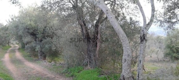 Дом с 4 спальнями в Лоле, Португалия № 159136 7