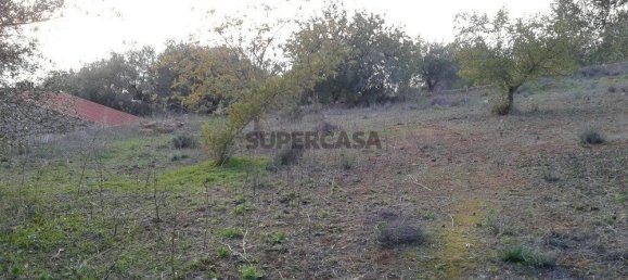 Дом с 4 спальнями в Лоле, Португалия № 159136 6