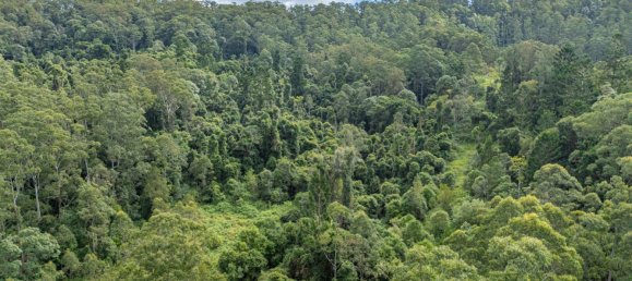 2 bedrooms Farm in Barkers Vale, Australia No. 622 30