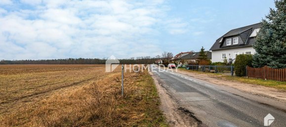 4 bedrooms House in Brandenburg an der Havel, Germany No. 34063 16