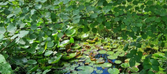 Land in Stuttgart, Germany No. 354748 7