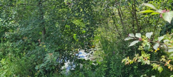 Land in Stuttgart, Germany No. 354748 6