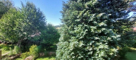 3 rooms House in Eichgraben, Austria No. 151598 15