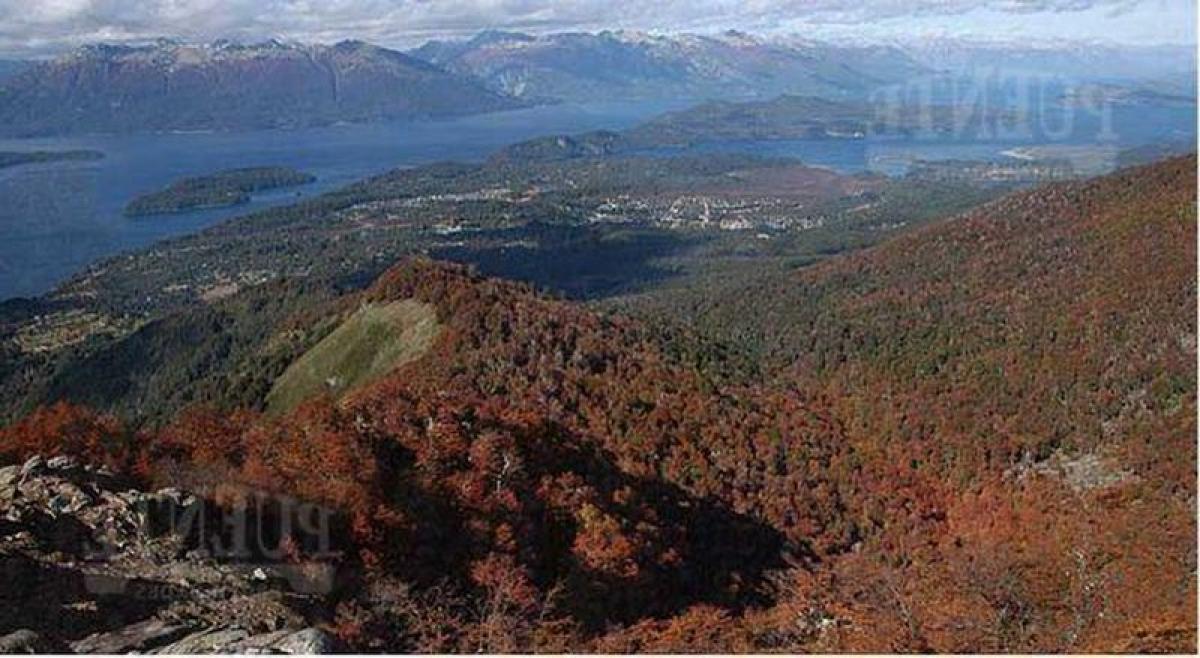  Land in Neuquen, Argentina No. 37599