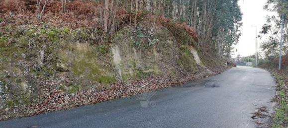 5 bedrooms House in Meinedo, Portugal No. 25125 11